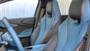 BYD Dolphin Sitze