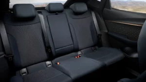 Cupra Tavascan Sitze