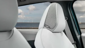 Nissan Leaf Sitze