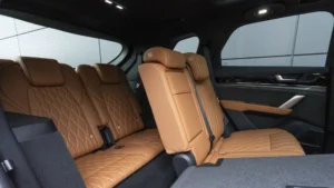 BYD Tang Sitze