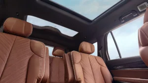 Cadillac Vistiq Sitze